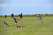 PENVINS 2012 - 0390
